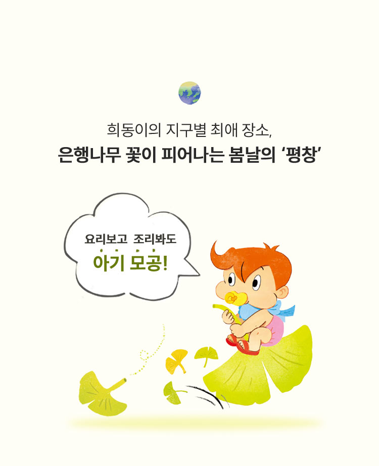 희동이의 지구별 최애 장소, 은행나무 꽃이 피어나는 봄날의 '평창' 요리보고 조리봐도 아기모공!