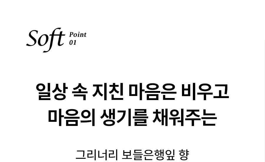 Soft Point 01 일상 속 지친 마음은 비우고 마음의 생기를 채워주는 그리너리 보들은행잎 향