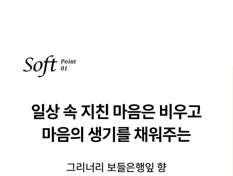 Soft Point 01 일상 속 지친 마음은 비우고 마음의 생기를 채워주는 그리너리 보들은행잎 향